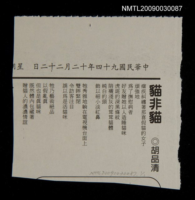 主要標題：貓非貓圖檔，第1張，共1張