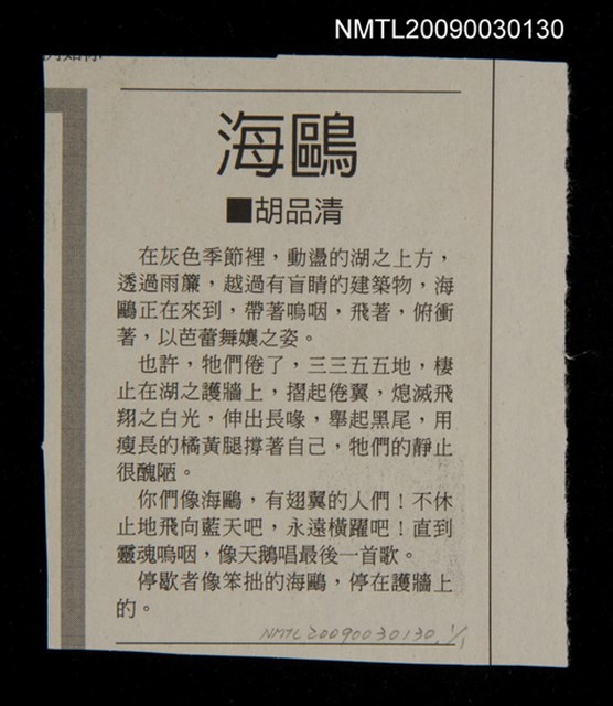 主要標題：海鷗圖檔，第1張，共1張
