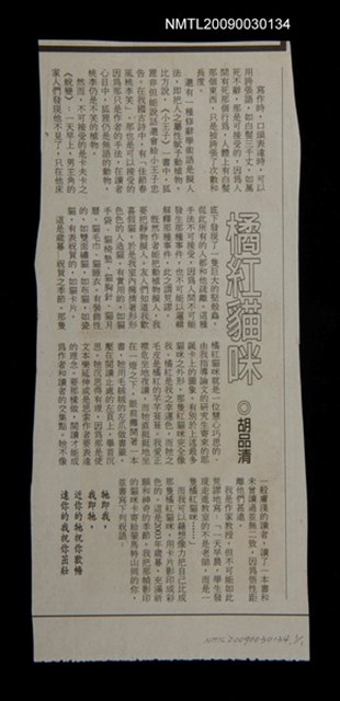 主要標題：橘紅貓咪圖檔，第1張，共1張