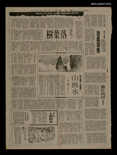 主要標題：落葉樹/報紙名稱：聯合報圖檔，第1張，共1張