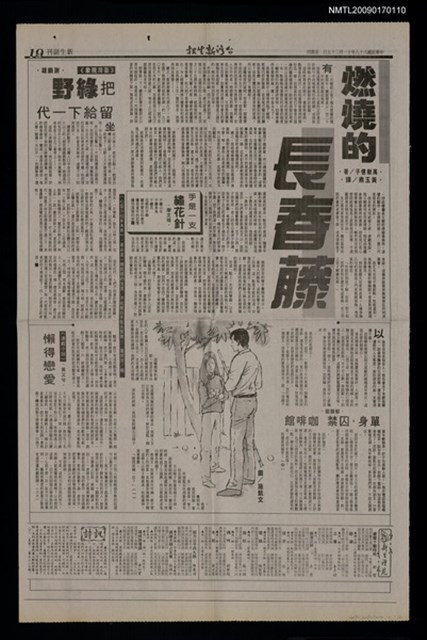 主要標題：燃燒的長春藤（一）-（全文完）/報紙名稱：台灣新生報圖檔，第1張，共1張