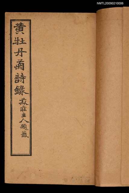 主要名稱：黃牡丹菊詩錄圖檔，第2張，共2張