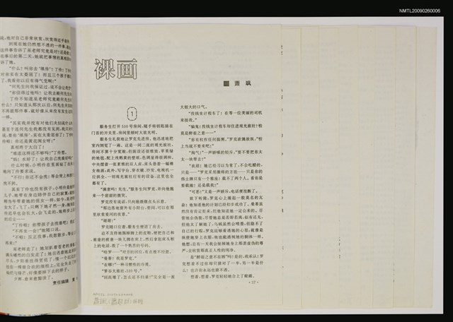 主要名稱：裸畫/期刊名稱：湖南文學1995年11月412期圖檔，第1張，共1張