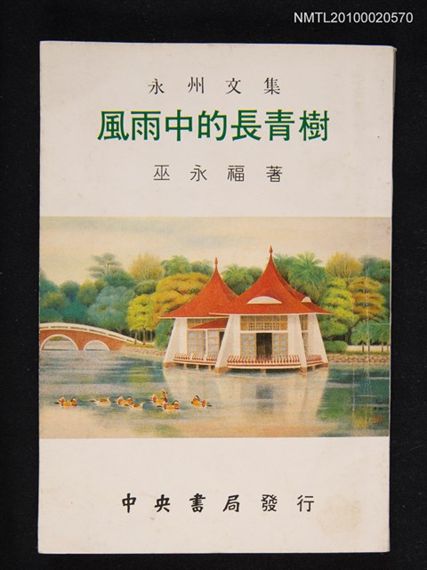 主要名稱：風雨中的長青樹圖檔，第1張，共1張