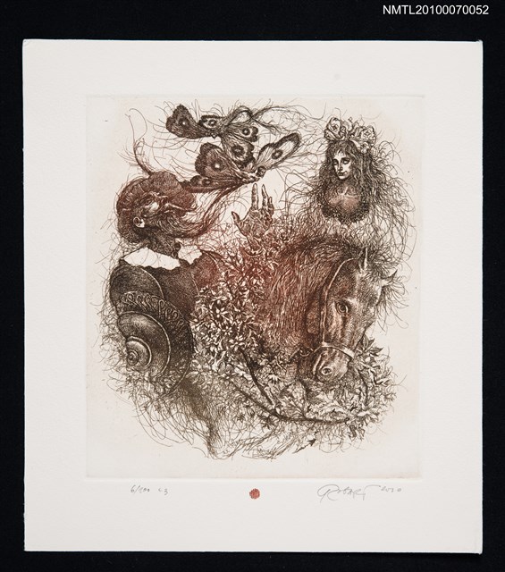 主要名稱：藏書票—唐吉訶德（髮絲飛舞）圖檔，第2張，共3張