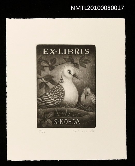 主要名稱：藏書票—Rufous Turtle Dove（Birth）（棕斑鳩）圖檔，第2張，共3張