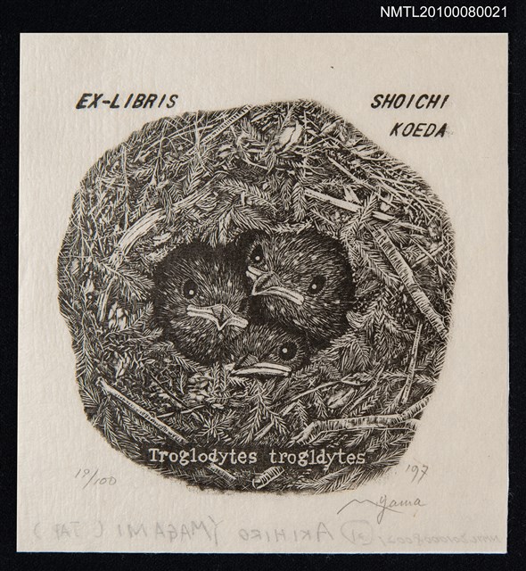 主要名稱：藏書票—Wrens（鷦鷯幼雛）圖檔，第2張，共3張