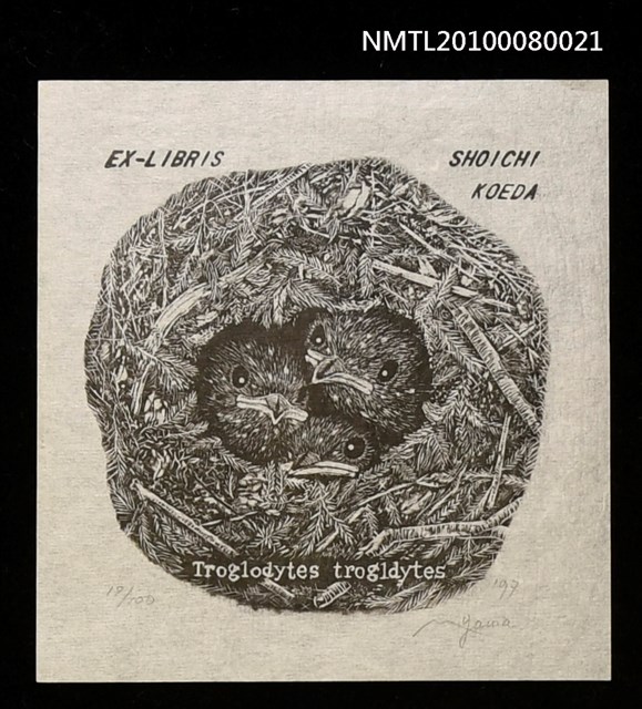 主要名稱：藏書票—Wrens（鷦鷯幼雛）圖檔，第1張，共3張