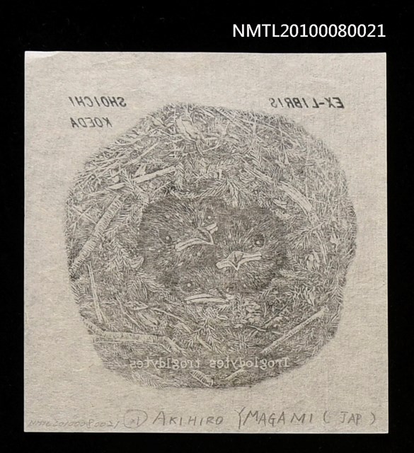 主要名稱：藏書票—Wrens（鷦鷯幼雛）圖檔，第3張，共3張