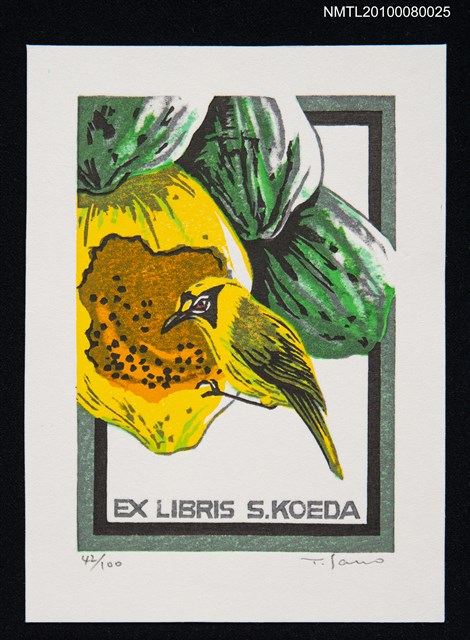 主要名稱：藏書票—Bonin Islands Honey-Eater（小笠原島的覓蜜鳥）圖檔，第2張，共3張