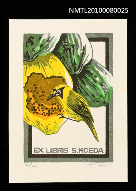 主要名稱：藏書票—Bonin Islands Honey-Eater（小笠原島的覓蜜鳥）圖檔，第1張，共3張