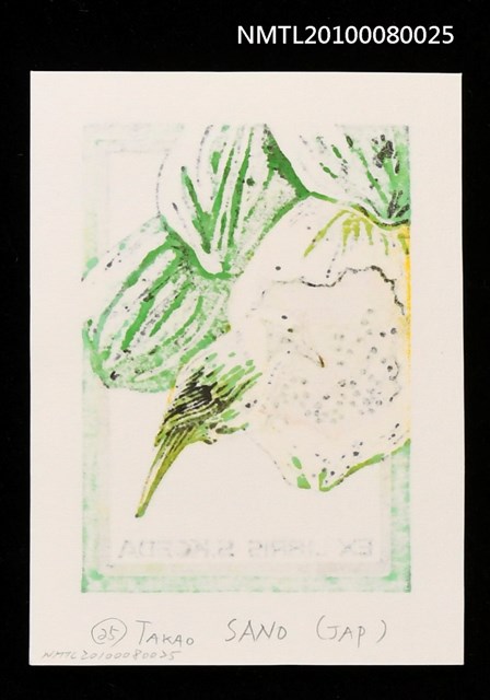 主要名稱：藏書票—Bonin Islands Honey-Eater（小笠原島的覓蜜鳥）圖檔，第3張，共3張