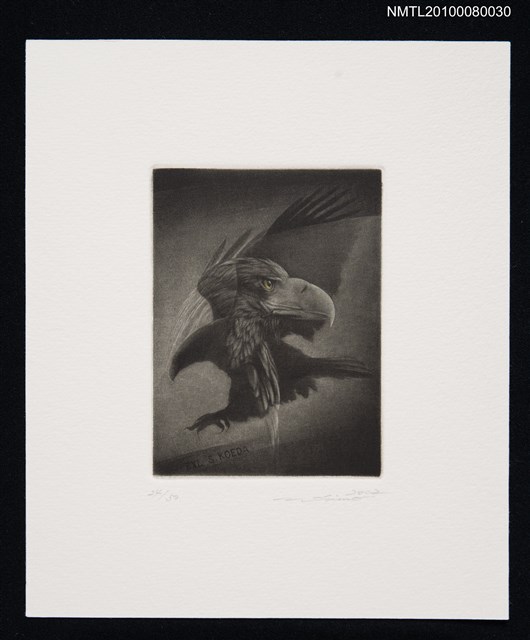 主要名稱：藏書票—Eagle（鷹）圖檔，第2張，共3張