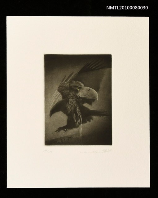 主要名稱：藏書票—Eagle（鷹）圖檔，第1張，共3張