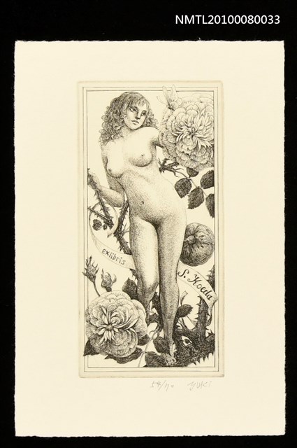 主要名稱：藏書票—Blossomed KOEDA（Rose）（盛開的玫瑰）圖檔，第2張，共3張