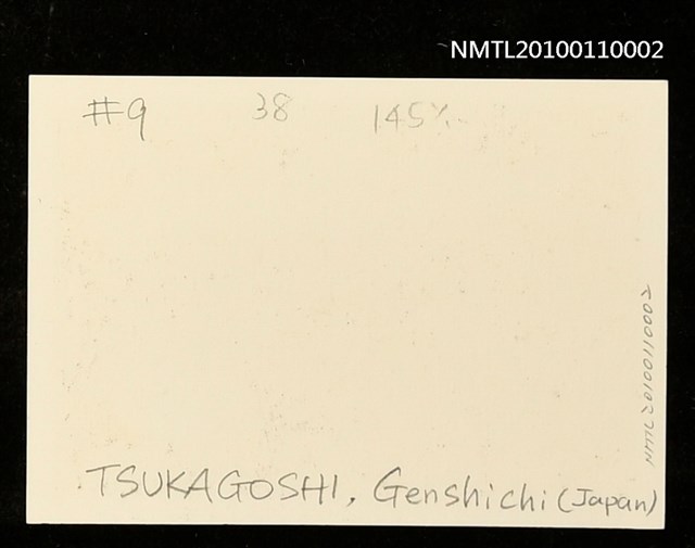 主要名稱：藏書票—貝（Shell）圖檔，第3張，共3張