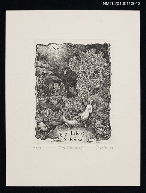 主要名稱：藏書票—White Coral圖檔，第2張，共3張