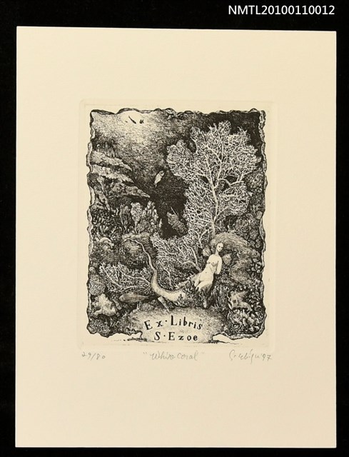 主要名稱：藏書票—White Coral圖檔，第1張，共3張