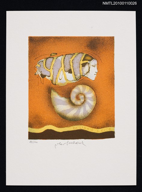 主要名稱：藏書票—眠れる貝（Sleeping Shell）圖檔，第2張，共3張