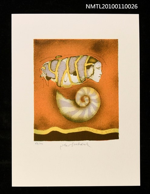 主要名稱：藏書票—眠れる貝（Sleeping Shell）圖檔，第1張，共3張