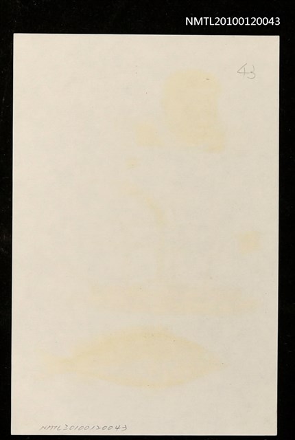 主要名稱：藏書票—マシュー・C・ペリー提督、旗艦サスケハナ号及び下產鯛圖檔，第4張，共4張