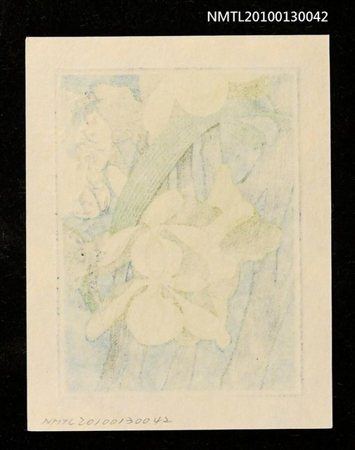 主要名稱：藏書票—石斛（Orchid/Sekkoku）圖檔，第3張，共3張