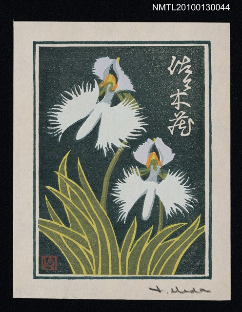 主要名稱：藏書票—鷺草（Orchid/Sagiso）圖檔，第2張，共3張