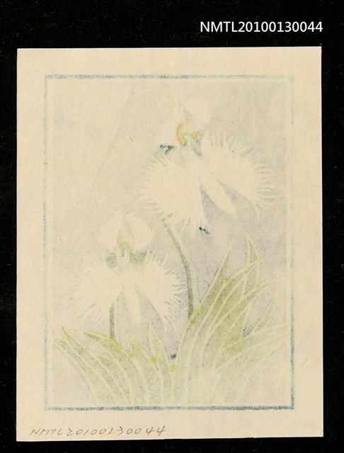 主要名稱：藏書票—鷺草（Orchid/Sagiso）圖檔，第3張，共3張