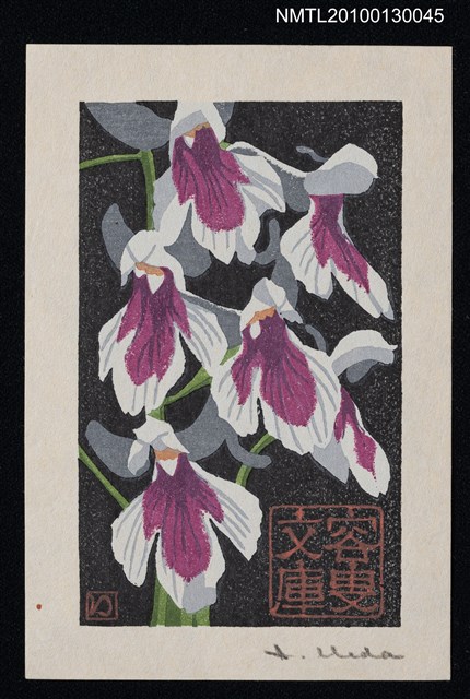 主要名稱：藏書票—羽蝶蘭（Orchid/Utyoran）圖檔，第2張，共3張