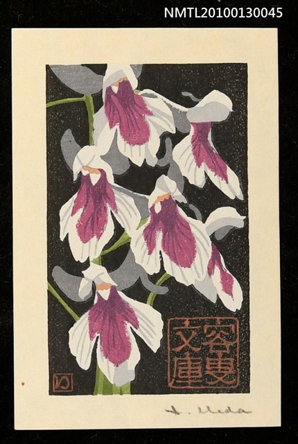 主要名稱：藏書票—羽蝶蘭（Orchid/Utyoran）圖檔，第1張，共3張