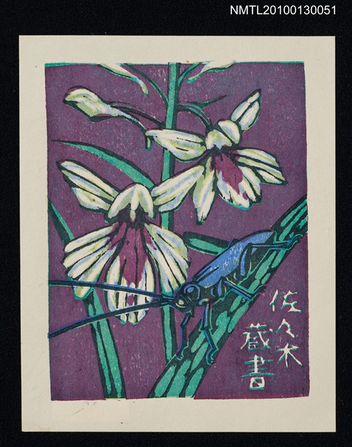 主要名稱：藏書票—羽蝶蘭（Orchid/Uchoran）圖檔，第2張，共3張