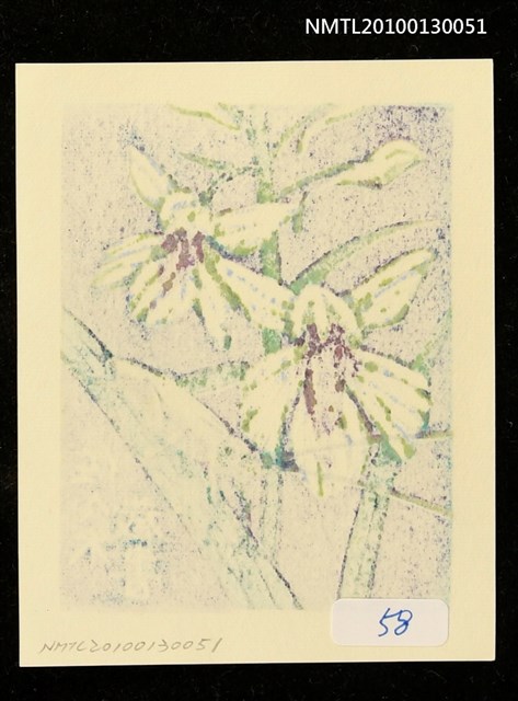 主要名稱：藏書票—羽蝶蘭（Orchid/Uchoran）圖檔，第3張，共3張