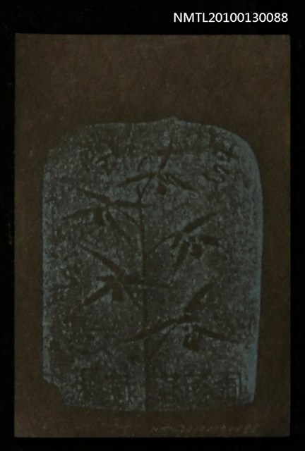 主要名稱：藏書票—芝蘭之交（羽衣）（Orchid SE ,35）圖檔，第3張，共3張
