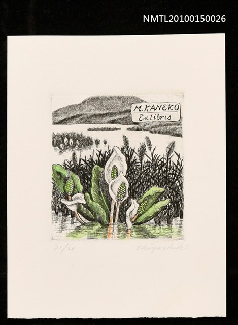 主要名稱：藏書票—水芭蕉圖檔，第1張，共1張