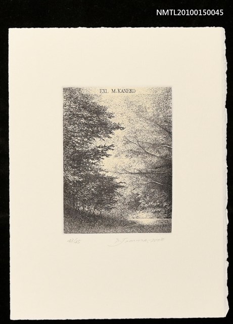 主要名稱：藏書票—ながれゆく水圖檔，第1張，共1張