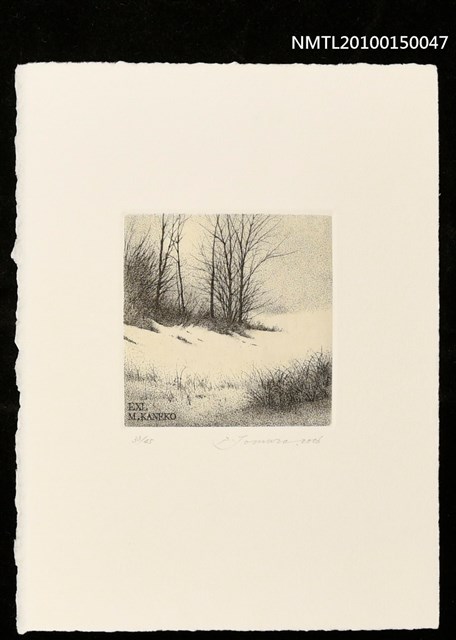 主要名稱：藏書票—冬木立圖檔，第1張，共1張