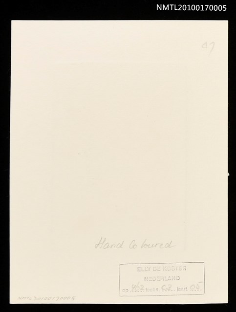 主要名稱：藏書票—九重葛（Bougainvillea）圖檔，第3張，共3張