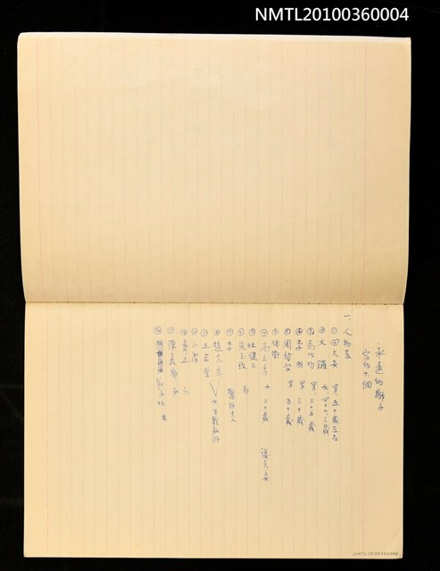 主要名稱：〈永遠的獅子〉寫作大綱圖檔，第6張，共6張