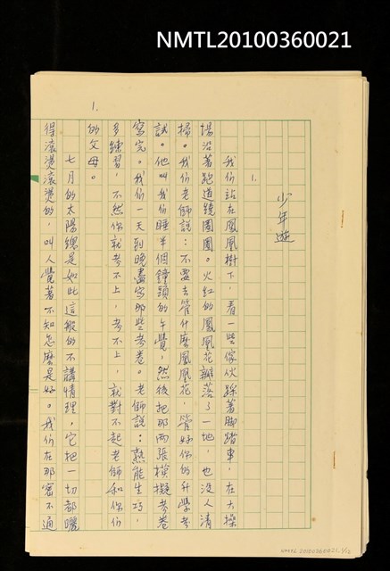 主要名稱：少年遊圖檔，第13張，共14張