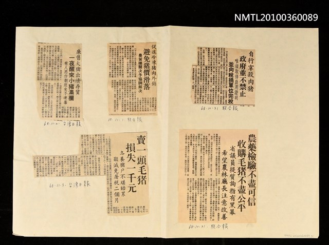 主要標題：自行宰殺肉豬 政府並不禁止 等/報紙名稱：聯合報/報紙名稱：臺灣日報圖檔，第1張，共1張