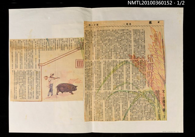 主要標題：「田莊人」之二—豬哥旺仔/報紙名稱：臺灣日報圖檔，第1張，共2張