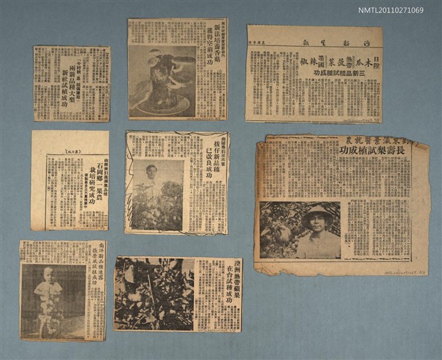 主要標題：農產品新品種相關剪報圖檔，第1張，共1張