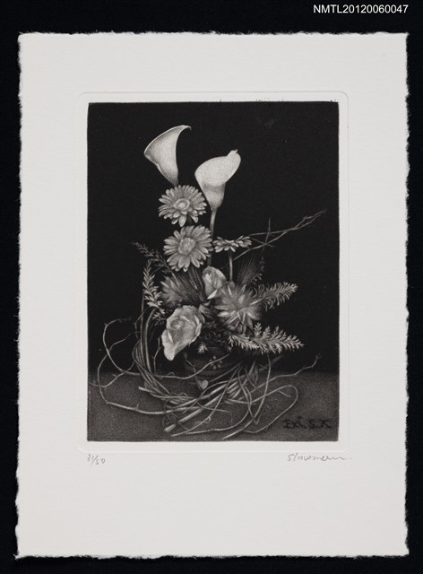 主要名稱：藏書票─White flower（白色的花）圖檔，第1張，共1張