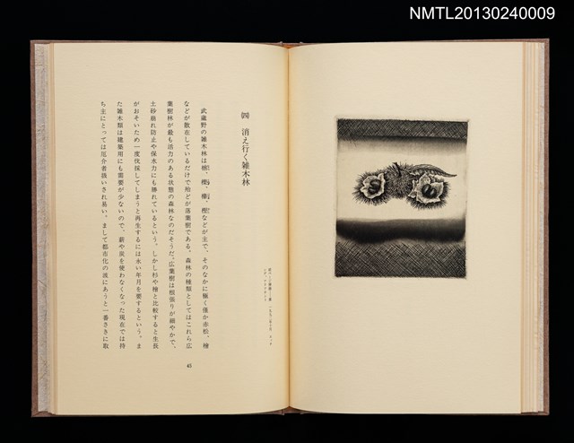 主要名稱：ぼくの武蔵野圖檔，第21張，共31張