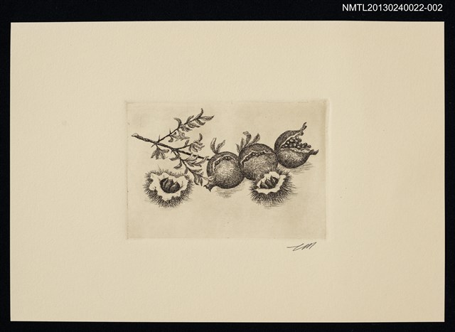 主要名稱：藏書票—多子多孫圖檔，第1張，共1張