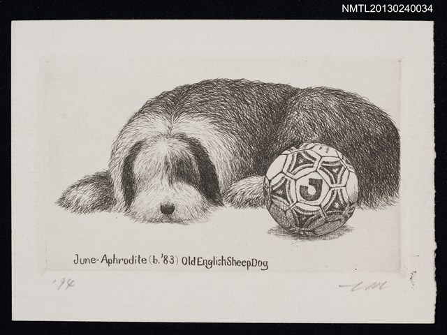 主要名稱：宮下登喜雄致江副章之介版畫明信片（1994-00-00）圖檔，第1張，共1張