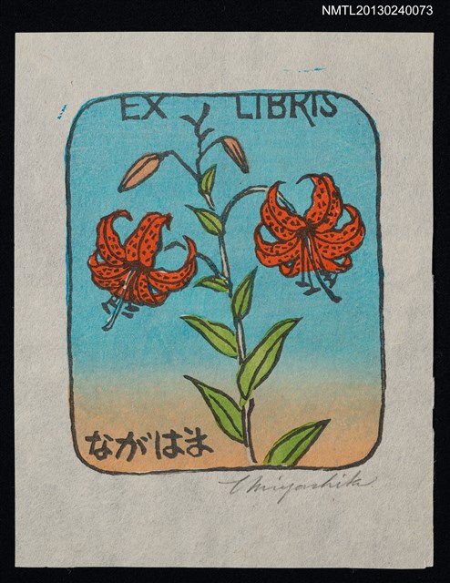 主要名稱：藏書票—やまゆり（天香百合）圖檔，第1張，共1張