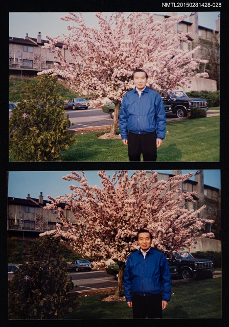 主要名稱：李唐基於戶外花樹前獨照2-28圖檔，第1張，共3張