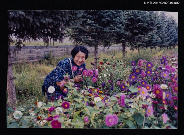 主要名稱：琦君友人小民之獨照2圖檔，第1張，共1張