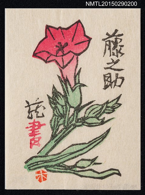 主要名稱：藏書票—煙草の花（煙草花）圖檔，第1張，共1張